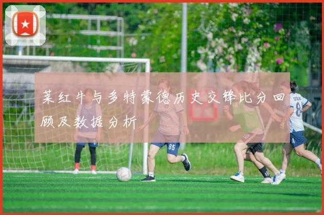 莱红牛与多特蒙德历史交锋比分回顾及数据分析