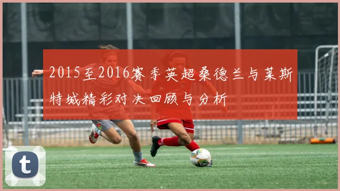2015至2016赛季英超桑德兰与莱斯特城精彩对决回顾与分析