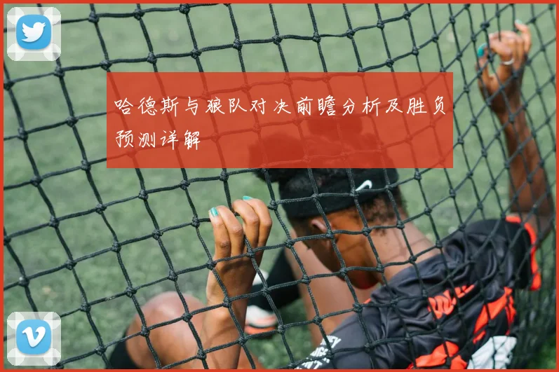 哈德斯与狼队对决前瞻分析及胜负预测详解