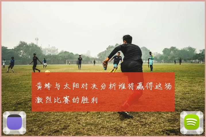 黄蜂与太阳对决分析谁将赢得这场激烈比赛的胜利