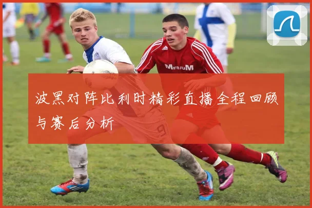 波黑对阵比利时精彩直播全程回顾与赛后分析