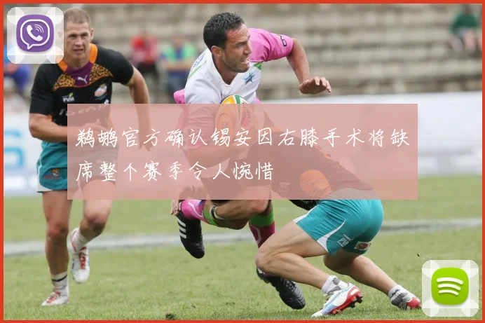 鹈鹕官方确认锡安因右膝手术将缺席整个赛季令人惋惜